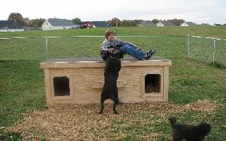 Josh with Jack & Murphy - TN